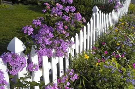 White Picket Fence Garden Ideas That Will Make You Say WOW - Top Dreamer