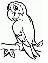 Papegaai Kleurplaat Papagei Papegaaien Ausmalbilder Kleurplaten  sketch template