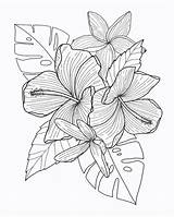 Free Digital Coloring Pages For Procreate sketch template