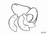 Avocado Coloring Pages Printable For Free Download sketch template