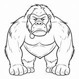 Silverback Gorilla Coloring Page Free sketch template