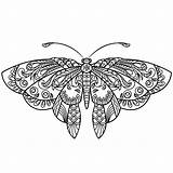 Adult butterfly coloring Pages – Artofit sketch template