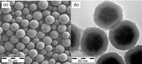 Figure 8 from Tailored functionalization of iron oxide nanoparticles for MRI, drug delivery ...