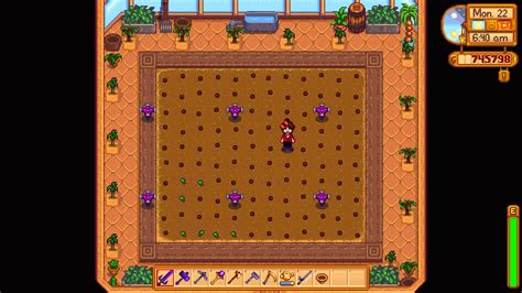 Best Greenhouse Layouts in Stardew Valley: Optimal Production and Profit