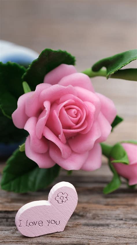 88+ Wallpaper Pink Rose Flower Pictures - MyWeb