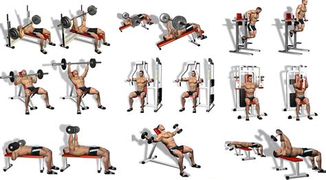 Five Best Chest Exercises To Make The Gym Jealous Of Your Pecs ...