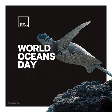 World Oceans Day - Luga Baruga