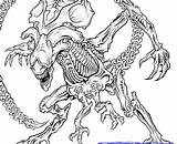 Alien Vs Predator Coloring Pages Sketch Page sketch template