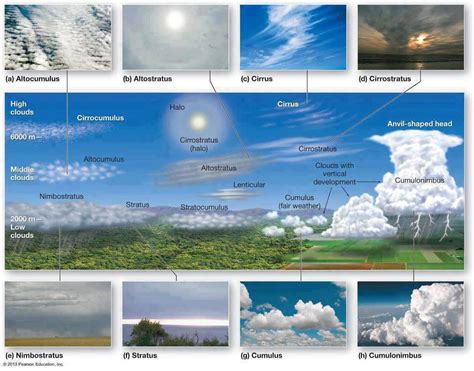 Wolken-Arten | Clouds, Cloud type, Weather science