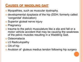 Waddling gait- definition|role of muscle|gait analysis|kinematic and ...