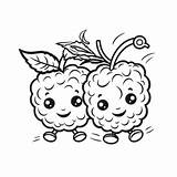 Raspberry Coloring Page PNG Transparent Images Free Download  Vector sketch template