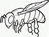 Desenho De Abelha Para Colorir sketch template