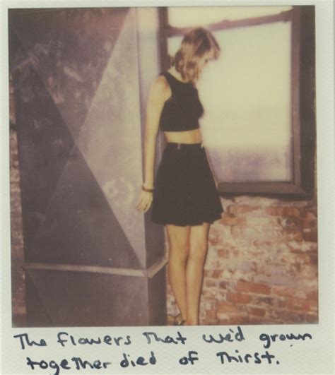🔥 Download Polaroid Taylor Swift And Photoshoot by @sonyam66 | Taylor Swift 1989 Wallpapers ...