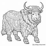 Yak Coloring Pages  Free & Printable sketch template