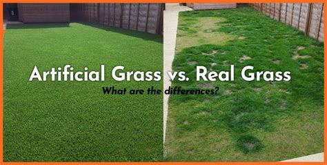 Artificial Grass vs. Real Grass - What you need to know - Bella Turf