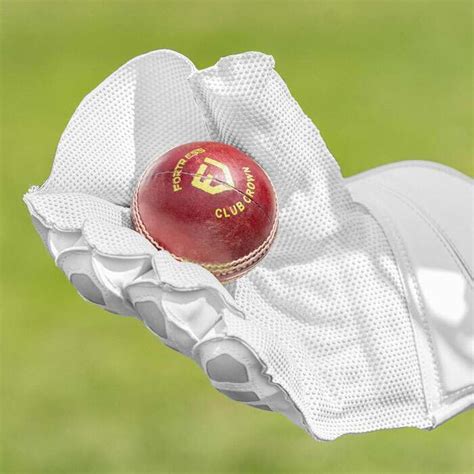 FORTRESS Wicket Keeper Gloves | Net World Sports