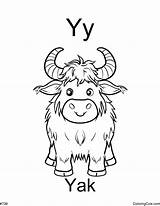 Y Is For Yak Coloring Page sketch template
