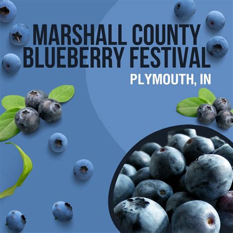 Marshall County Blueberry Festival 2024 - Plymouth, IN | Eventlas