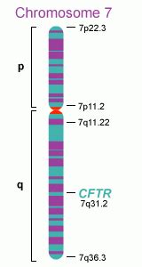 Chromosome 7p22 deletion and associated symptoms