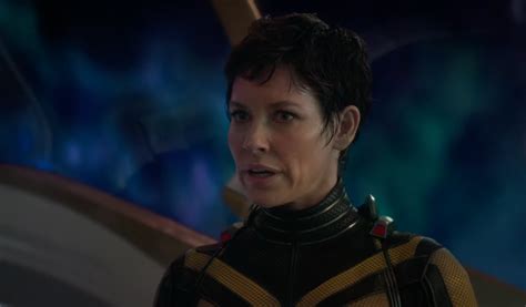 Evangeline Lilly is Petitioning for Wasp Solo Movie