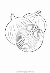 Onion Coloring Pages Kids Sketch Page sketch template