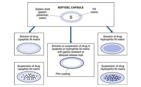 Soft Gelatin Capsules Ingredients: The Ultimate Guide - SaintyTec