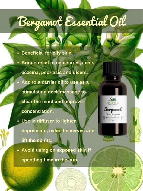 Buy Bergamot Essential Oil Online in Australia - Mudbrick Herb Cottage