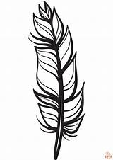 Free Feather Coloring Pages For Kids  GBcoloring sketch template
