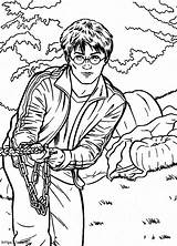 Harry Potter 2 coloring Page sketch template