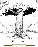 Moss Lichen And Mushroom colouring In Sheet Poem By Nature Makers  sketch template