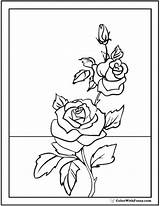 73  Rose Coloring Pages Free Digital For Kids sketch template