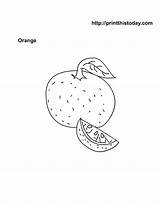 Oranges Coloring Page sketch template