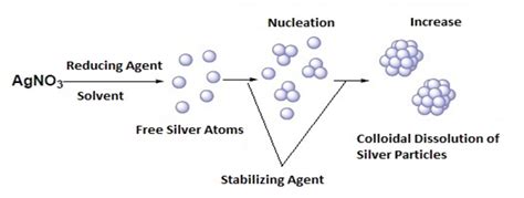 Synthesis and characterization of silver nanoparticles and their application as an antibacterial ...