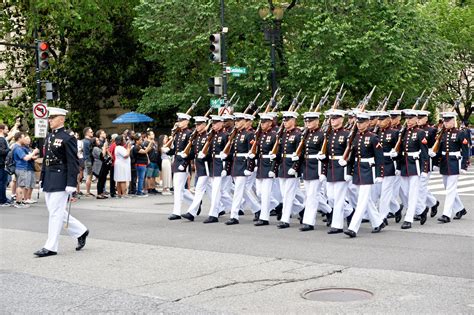 Gallery: Memorial Day in Washington DC | Daily Telegraph