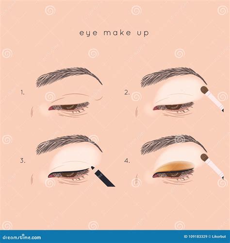 Eye Make Up Tutorial. How To Apply Eyeshadow Stock Vector - Illustration of makeup, template ...