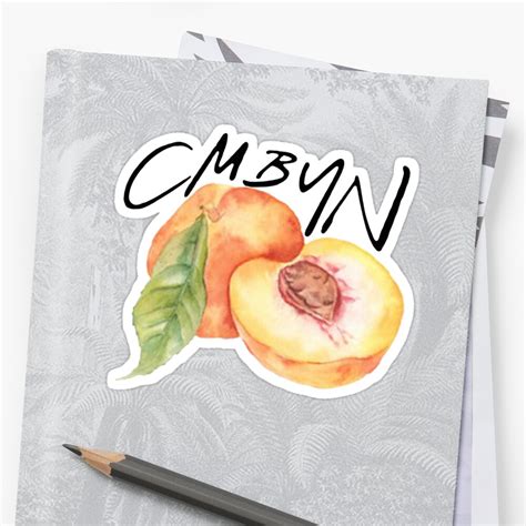 "Call Me By Your Name Peach " Stickers by LeilaCCG | Redbubble