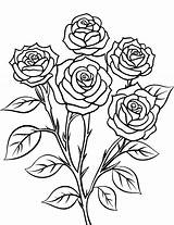 Printable Rose Flower Coloring Pages  Best Site sketch template
