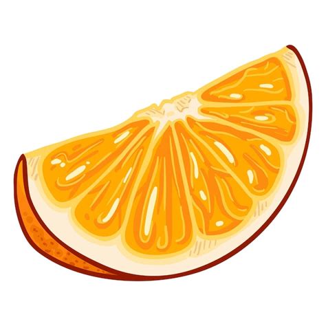 Premium Vector | Vector cartoon orange fruit slice