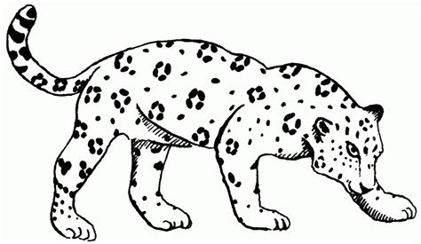 Jaguar Coloring Pages For Kids Coloring Pages