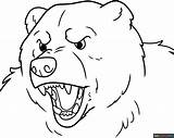Bear Face Coloring Page  Easy Drawing Guides sketch template