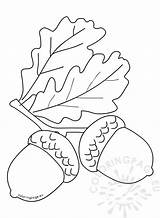 Autumn coloring Page Acorns With leaves  Coloring sketch template