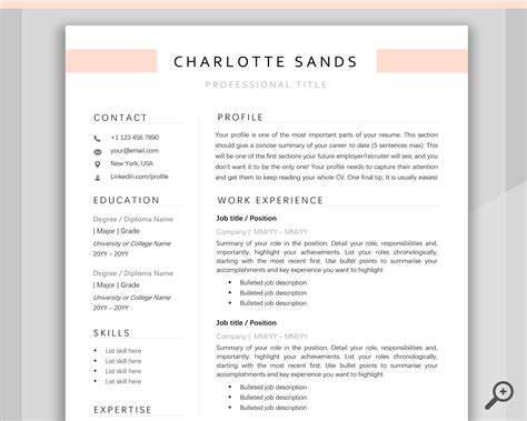 Professional Resume Samples In Word Format