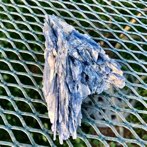 Blue and White Kyanite Crystal Cluster Specimen