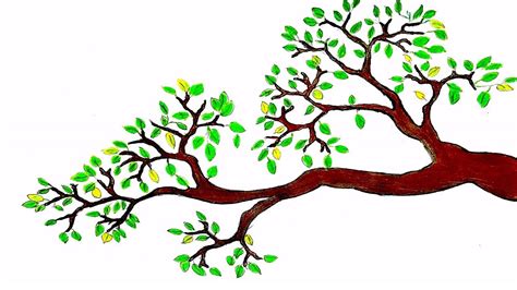 How to draw a branch with leaves | Tree Drawing for beginners - YouTube