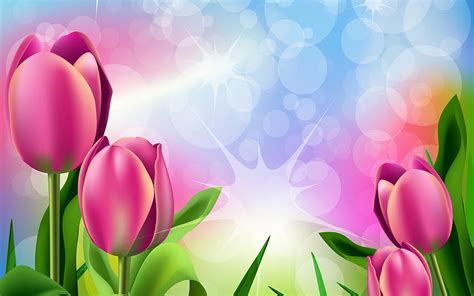 2K Free download | Tulips, blue, bokeh, tulip, spring, pink, flower, green, vector, card HD ...
