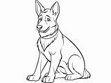 Captivating German Shepherd Coloring Sheet  Page sketch template