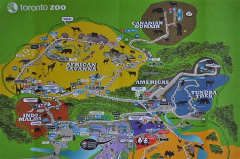 Toronto Zoo - 2020 All You Need to Know Before You Go (with Photos) - Toronto, Canada | Tripadvisor