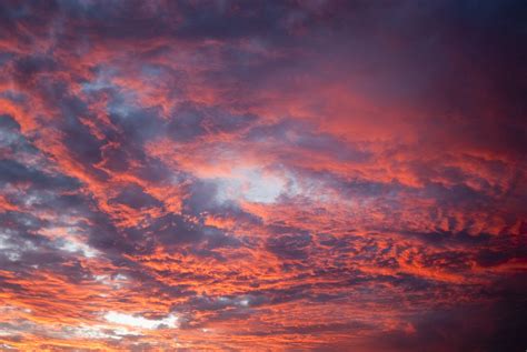 Free Image of Atmospheric colorful pink sunset | Freebie.Photography