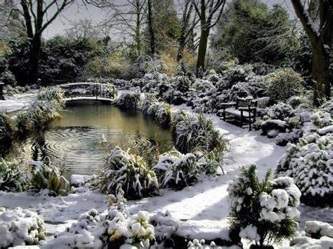 50 Amazing Winter Garden Landscape - SWEETYHOMEE