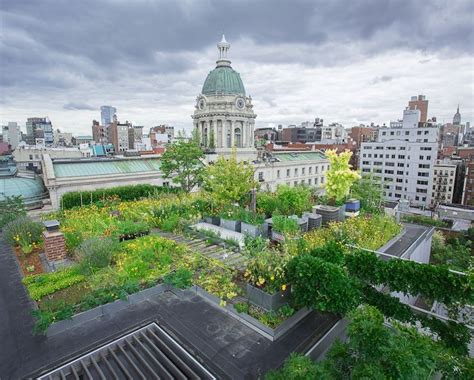 http://www.carbonsmart.co.uk/why-are-green-roofs-good-for-business/ | Green roof, Sustainable ...